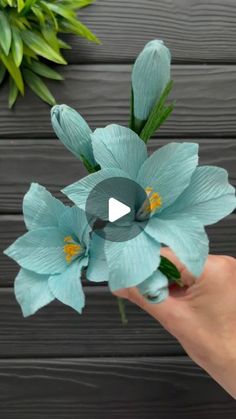 someone is holding some blue flowers in their left hand and the other one has green leaves on it