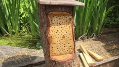 a bird house built into a tree stump