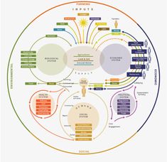 a circular diagram showing the different types of people's social life cycles, including