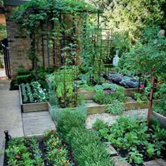 a garden filled with lots of different types of plants