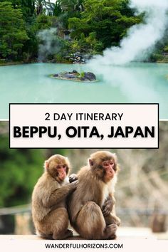 two monkeys sitting next to each other with the words 2 day itinerary bepu, ota, japan