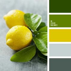 two lemons with green leaves on the top and bottom are shown in shades of gray, yellow, and grey