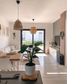 a living room filled with furniture and a potted plant on top of a table