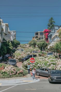 cars parked on the side of a road next to flowers and bushes in front of buildings