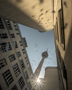 the sun shines brightly in front of tall buildings with birds flying around on a clear day