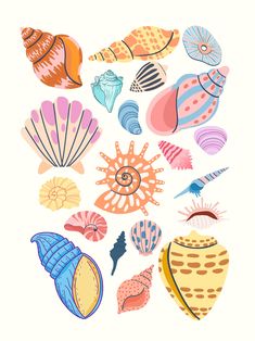 colorful sea shells and seashells are arranged on a white background