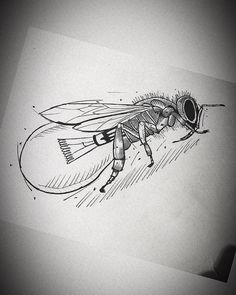 a black and white drawing of a fly