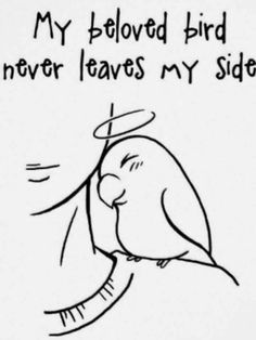 a drawing of a bird with the words, my beloved bird never leaves my side