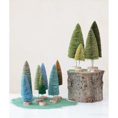 several small trees are placed next to each other on top of a tree stump in front of a white wall