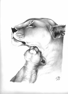 a pencil drawing of a lion and its cub