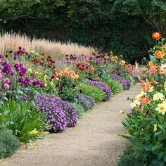 a garden filled with lots of colorful flowers and tall grass next to a dirt path