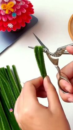 someone is cutting up some green plants with scissors on a white table next to flowers