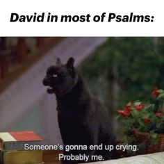 a black cat sitting on top of a wooden table next to books and flowers with caption that reads, david in most of palms someone's gonna end up crying probably me