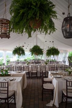 tables and chairs are set up in a tent for an outdoor wedding reception with greenery hanging from the ceiling