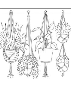 a line drawing of potted plants hanging from hooks