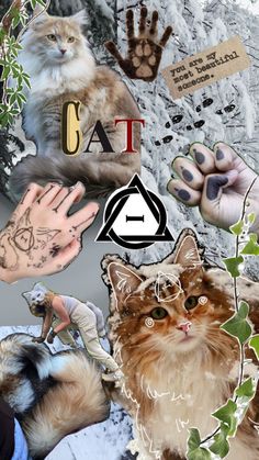 a collage of cats and hands with tattoos on them