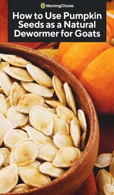 pumpkin seeds in a bowl with text overlay how to use pumpkin seeds as a natural dish for goats