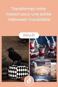 the cover of a book with pictures of halloween decorations and witches on it, including a crow