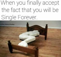 a bed frame with two pillows on it and the caption reads, when you finally accept the fact that you will be single forever