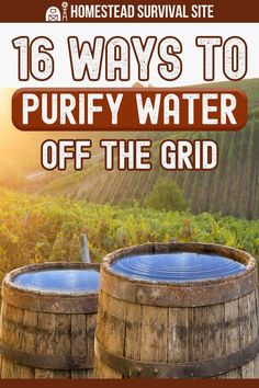 Purifying Water Survival, Purify Water Survival, Purify Water At Home, Solar Still Water Purification, Living Of The Grid Ideas, Ways To Collect Rain Water, How To Purify Water, Of Grid Living, Survival Water Filter