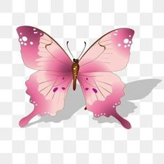 a pink butterfly with white spots on its wings