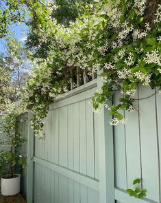 an image of a fence with flowers growing on it