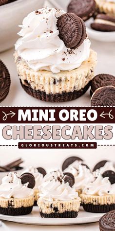 Treat yourself to the best dessert recipe with these Mini Oreo Cheesecakes! With an Oreo crust, Oreo cookies, and cheesecake filling, these mini treats are easy to make. It's the perfect treat to make at home for parties, special occasions, or a sweet snack!