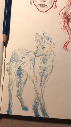 a pencil drawing of a wolf and a woman's face on paper with colored pencils