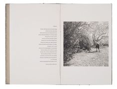 an open book with black and white photos on the pages, in front of a tree