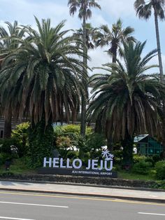 palm trees line the street in front of a building with a sign that reads hello jeju