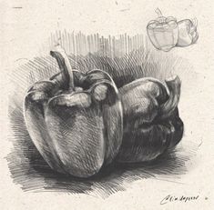 a pencil drawing of two peppers sitting next to each other on top of a table