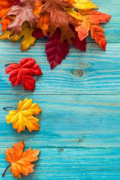 colorful autumn leaves on blue wood background