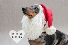 a small dog wearing a red and white knitted santa hat with pom - poms