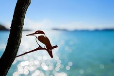 a bird is sitting on a tree branch by the water's edge with bright blue sky in the background