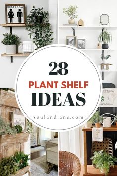 the words, 28 plant shelf ideas are shown above photos of various plants and shelves