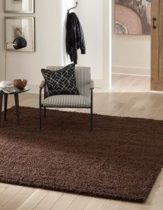 a living room area with a chair, rug and coat rack