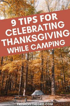 a tent in the woods with text reading camping thanksgiving tips and tricks