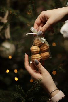 a person holding a bag of cookies in front of a christmas tree