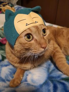 an orange cat with a green hat on top of it's head sitting on a bed