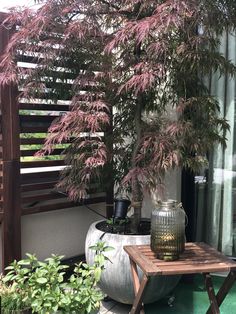 a table with a vase on top of it next to some plants