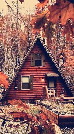 a cabin in the woods surrounded by fall leaves