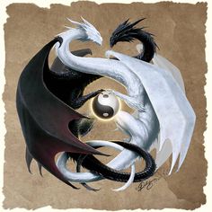 two white and black dragon are facing each other in front of an orange eyeball