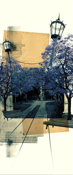 an abstract photo of a park with trees and street lights in the background, as well as a bench