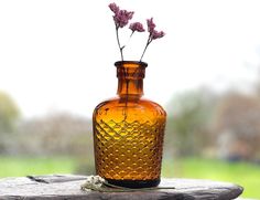 a glass vase with flowers in it sitting on a wooden table next to a grassy field