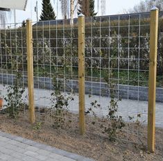 the fence is made of metal wire and has plants growing out of it, along with brick pavers