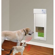 a dog and a cat are looking at an electronic door that is on the wall