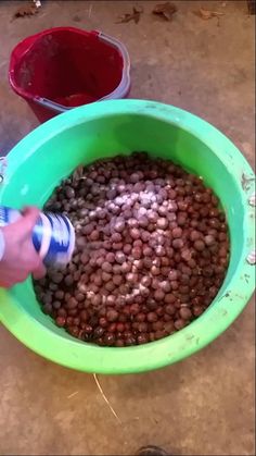 a person is pouring water into a green bucket filled with rocks and gravel in front of two red buckets