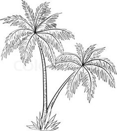 a black and white drawing of a palm tree