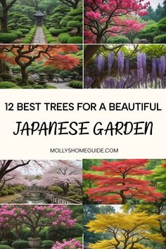 japanese garden with different trees and flowers