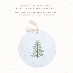 a white christmas ornament with a green tree on it and the words, three plantable gift tags / ornaments